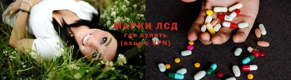 гидропоника Аркадак