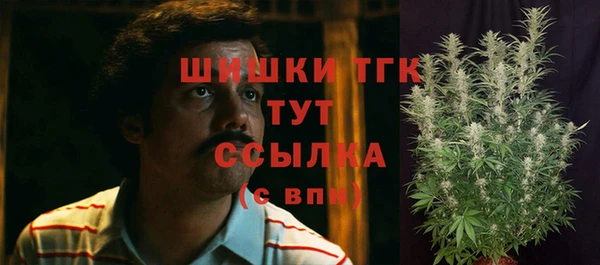 гидропоника Аркадак