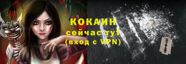 шишки Алексеевка